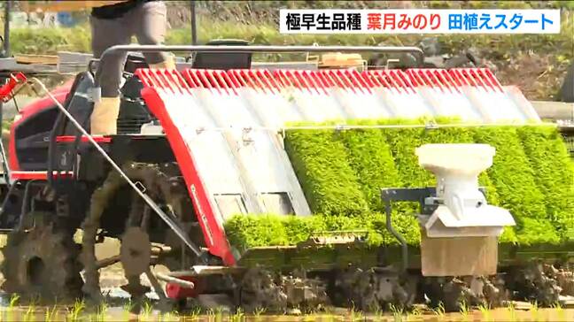 「まだないか まだないか と言われる」“いち早く”食卓に並ぶ「新米」に期待 極早生品種『葉月みのり』の田植え始まる 新潟県柏崎市|TBS NEWS DIG