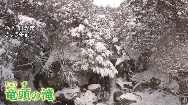 「雪を見たらちょっと無理だな」と大雪で営業断念も 最強寒気で日本各地に初雪ラッシュ 「いろは坂」で“立往生”も|TBS NEWS DIG