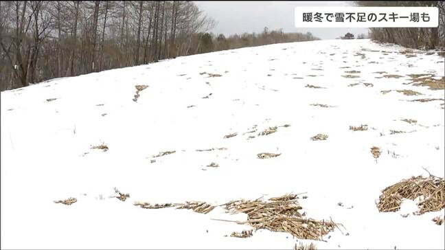 「久々に滑りにきて、めっちゃ下手になってた」仙台市内のスキー場“雪不足”でピンチ みんなヤキモキ|TBS NEWS DIG