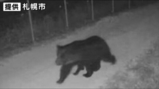 お互いばったり出会うとリスク高い「すべてのクマ事故は防げる」はず…危険な兆候に気づいて対処する手立てが“圧倒的に足りていない”専門家の警鐘|TBS NEWS DIG