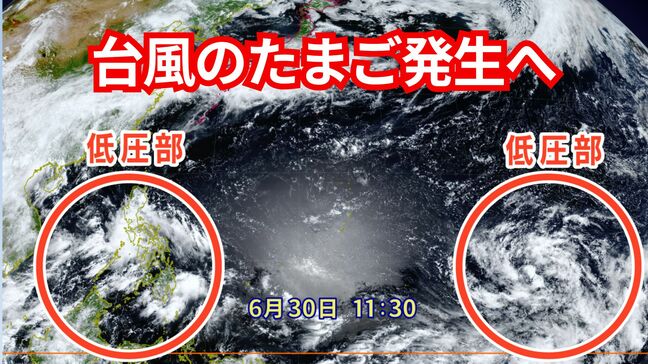 台風のたまご「熱帯低気圧」発生へ 南の海上では台風が発生しやすい状態続く 今年は台風が多い年に…|TBS NEWS DIG