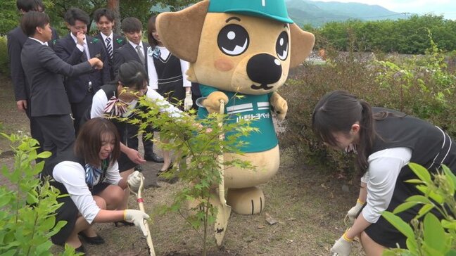 195本のイロハモミジやミツマタなど 苗木を県に寄付 今年で50年目 山梨トヨペット|TBS NEWS DIG