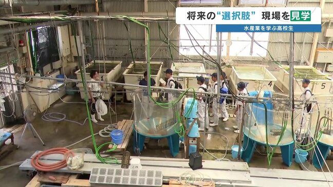 「色々な魚種や貝…すごい」水産業の現場を高校生が見学 魚卵の人工ふ化、種苗生産…天草・熊本|TBS NEWS DIG