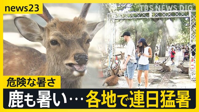 各地で猛暑日…東京は5日連続　鹿も鳩も日陰で暑さしのぐ　台風上陸の鹿児島一夜明け住民は泥のかき出しに追われる【news23】|TBS NEWS DIG