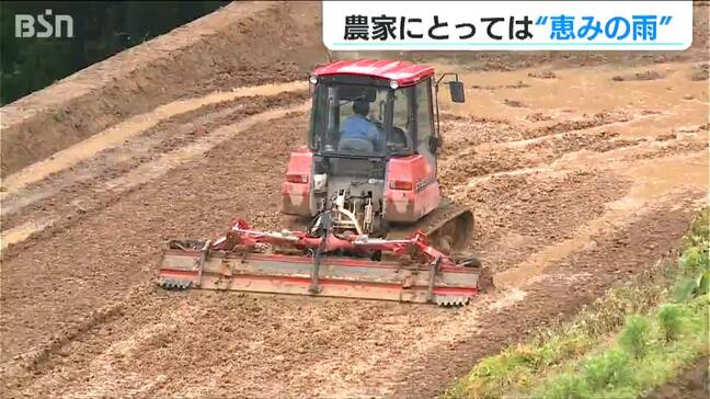 “代かき”もままならなかったコメ農家にようやく恵みの雨「稲刈りは少し遅れるけど美味しいコシヒカリを作っていきたい」新潟県上越市|TBS NEWS DIG