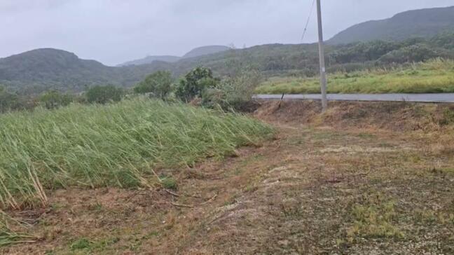 【現地映像】台風3号最接近から一夜明けた与那国|TBS NEWS DIG