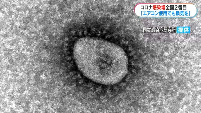 コロナ感染者減少も全国2番目の多さ　専門家「無理のない範囲で感染対策を」鹿児島|TBS NEWS DIG