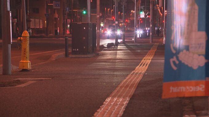 路上で77歳女性に暴行を加え現金を奪う　強盗傷害容疑の17歳少年「大体間違いありません」女性は腕を骨折する重傷　札幌市豊平区|TBS NEWS DIG