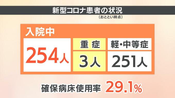 新型コロナ感染者増 入院患者254人 うち3人が重症 病床使用率29.1% 愛媛　|　愛媛のニュース - Nスタえひめ｜あいテレビは6チャンネル