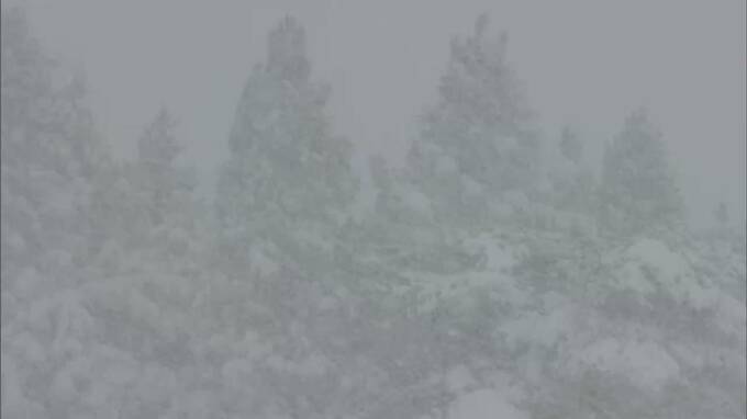 強い寒気で県北に大雪警報　40cm超える積雪　新見市千屋などで－7.9℃　氷点下の厳しい冷え込み【岡山】|TBS NEWS DIG