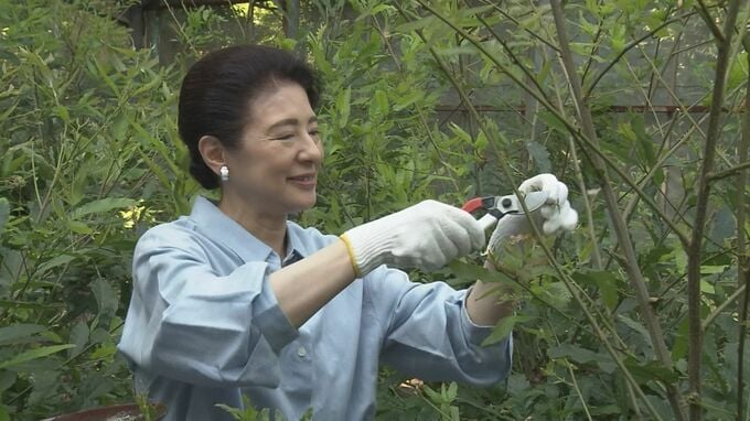 皇后さま　蚕の繭を収穫「きれいですね」　皇居・紅葉山御養蚕所|TBS NEWS DIG