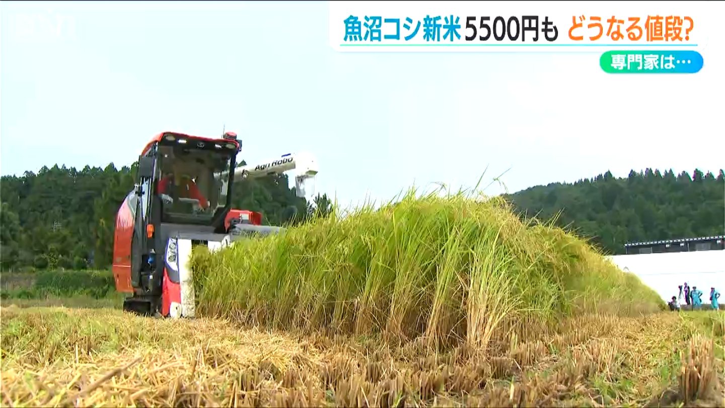 魚沼産コシヒカリ“ネット販売”は5kg5500円 仮渡金上昇で各地の