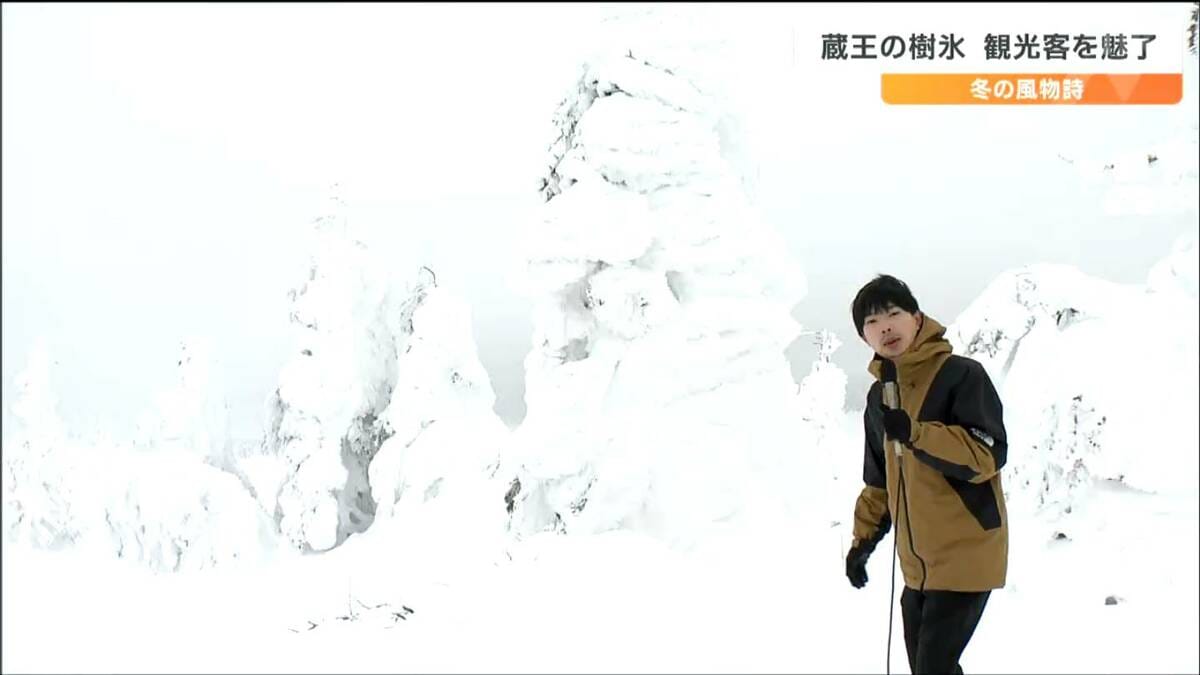 40年前にも来たが違ったきれいさありますね」巨大に成長“アイス