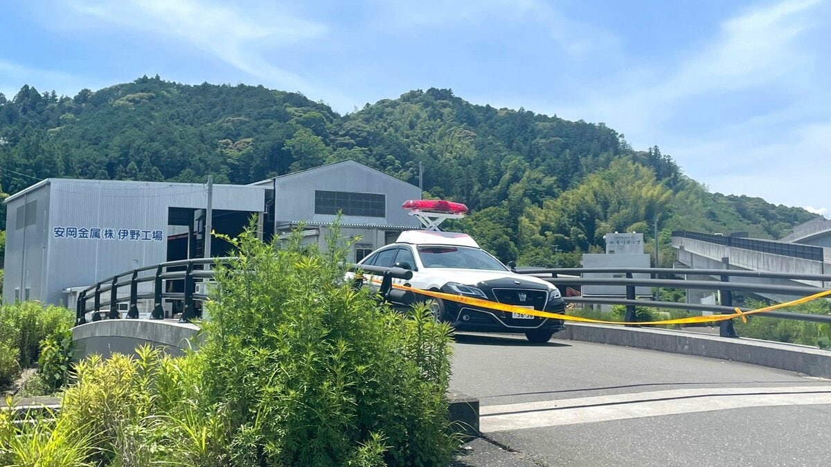 img_099abc111646055b284ab99ae8