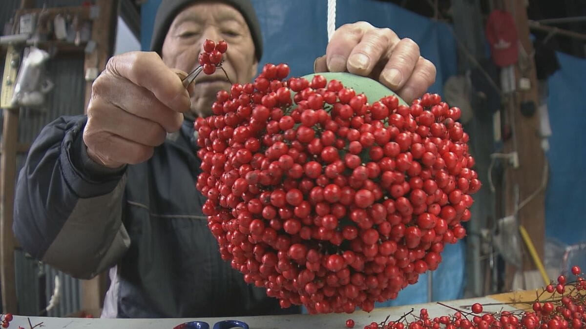 “難を転ずる”「南天玉」作りが最盛期　岐阜・郡上市