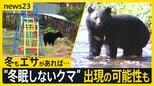 取材中にクマと遭遇…ハロウィーンパーティーは急きょ屋内に変更　なぜ人の生活圏に出没？専門家からは“冬眠しないクマ”出現の可能性も【news23】|TBS NEWS DIG