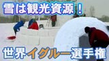 雪を観光資源に！青森市でイヌイットの住居「イグルー」をつくる世界大会開催|TBS NEWS DIG