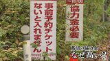 車1台4000円 紅葉の名所・蔦沼“入場協力金”はナゼ割高? | 青森のニュース│ATV NEWS│青森テレビ