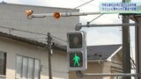 「音の出る信号機」を設置 岩手・花巻市など新たに3か所 ラジソン募金|TBS NEWS DIG