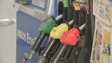 ガソリン全国平均価格173円60銭　先週と比べて10銭高くほぼ横ばい　11月4日時点|TBS NEWS DIG