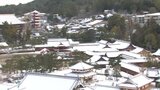 世界遺産・宮島　厳島神社も雪化粧　雪が積もった道路でじゃれあう鹿たちも　|　RCC NEWS | 広島ニュース | RCC中国放送