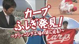 「徳を積んだと思ったら徳は返ってこない」　脱いだユニホームを必ず畳んで出す、カープで最も几帳面な選手とは！？　カープのユニホームを洗浄するクリーニング工場に天谷宗一郎が潜入！　洗濯物から垣間見える選手たちの意外な素顔とは！？　|　RCC NEWS | 広島ニュース | RCC中国放送