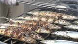 サンマ炭火焼き8千尾をふるまい おととい本州トップで水揚げの大船渡で「初さんま祭」|TBS NEWS DIG