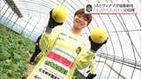 チームカラーと同じ色「「エリザベスメロン」　ヴィアマテラス宮崎の選手たちがホームタウン・新富町で収穫作業　|　MRTニュース ｜ ＭＲＴ宮崎放送