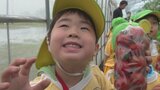 “食べ物に感謝” 特産のミニトマト 園児が袋いっぱいに収穫 山梨・中央市|TBS NEWS DIG