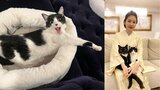 【ねこ】藤あや子さん　愛猫・オレオの表情に「もうたまらんわい」フォロワー共感「人生楽しもうぜ」|TBS NEWS DIG