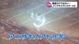 「その先、アニサキスアレルギーになると魚が食べられなくなる」腹痛だけじゃないアニサキスの恐ろしさ | MRTニュース | MRT宮崎放送