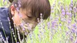 「荒れてしまったのが悲しかった…」亡き義父の思い受け継ぎラベンダー農園復活へ　女性の思い　長野・池田町|TBS NEWS DIG