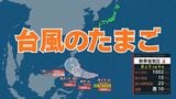 台風のたまご「熱帯低気圧」が発生 きょう(4日)午後9時までに「台風」へ発達か【気象庁】|TBS NEWS DIG