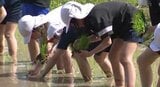 初めての体験!コメ作りを学ぶ長野・松本市の小学生が田植え…地域活性化の活動メンバーもサポート…9月には稲刈り体験も予定|TBS NEWS DIG