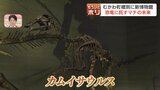 「最も完全な化石」に沸く恐竜のマチ！むかわ町に新恐竜博物館が誕生、驚きの「ワニ肉」グルメも…恐竜に託す住民の熱い挑戦|TBS NEWS DIG