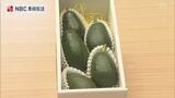 「これだったらいける」長崎のビワ農家が初収穫 “森さんのアボガド” | 長崎のニュース | 天気 | NBC長崎放送