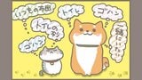 急遽ペットと避難…持っていくべきものと注意点 手元に写真はありますか?|TBS NEWS DIG