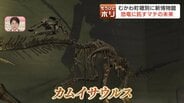 「最も完全な化石」に沸く恐竜のマチ！むかわ町に新恐竜博物館が誕生、驚きの「ワニ肉」グルメも…恐竜に託す住民の熱い挑戦　|　北海道のニュース｜HBC北海道放送