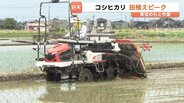 田植えの最盛期到来！青空の下で進む「コシヒカリ」苗植え　猛暑対策で“5月15日”がピーク　20日ごろ完了へ　富山　|　富山のニュース｜天気・防災｜チューリップテレビ