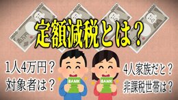 定額減税とは　わかりやすくまとめてみた　1人あたり4万円減税どうやって？住民税と所得税が減税？対象者は？4人家族だと？非課税世帯は？給与明細に明記が義務化？　いまさら聞けない『定額減税』の“あれこれ”|TBS NEWS DIG