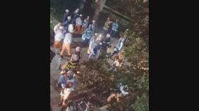 イチョウの枝が落下　歩行者とみられる男性が下敷きで死亡　木の高さは約10メートル　東京・日野市の緑道|TBS NEWS DIG