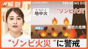 岡山の山林火災は「鎮圧」も…再燃する“ゾンビ火災”の危険　岩手・大船渡でも警戒続く【Nスタ解説】|TBS NEWS DIG