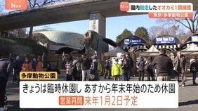 園内脱走したオオカミ1頭を捕獲　多摩動物公園　園はきょう（28日）臨時休園　年内の営業は終了　営業再開は1月2日予定　東京・日野市|TBS NEWS DIG