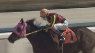 「競馬で死ぬのは嫌じゃない」金沢競馬で奮闘!富山出身、田知弘久ジョッキー 落馬で首の骨を折る大けが乗り越え復活 新シーズンにかける思い | 富山のニュース|天気・防災|チューリップテレビ