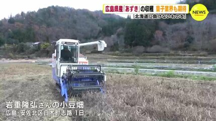 広島県産「あずき」の収穫 菓子メーカーが生産依頼「北海道に負けない