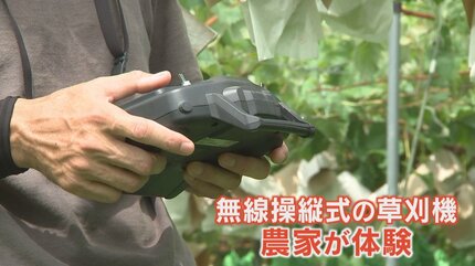 草刈機　実働 楽だし便利」先端技術を農業に活用 ロボット草刈り機 作業の効率化や
