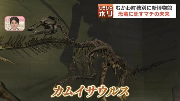 「最も完全な化石」に沸く恐竜のマチ！むかわ町に新恐竜博物館が誕生、驚きの「ワニ肉」グルメも…恐竜に託す住民の熱い挑戦　|　北海道のニュース｜HBC北海道放送