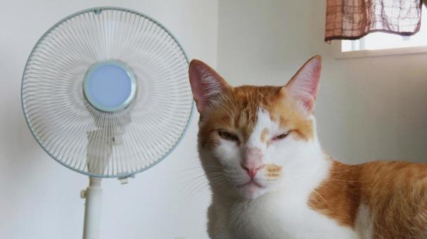 「熱中症特別警戒アラート」で開放《クーリングシェルター》確認を　|　長崎のニュース | 天気 | NBC長崎放送