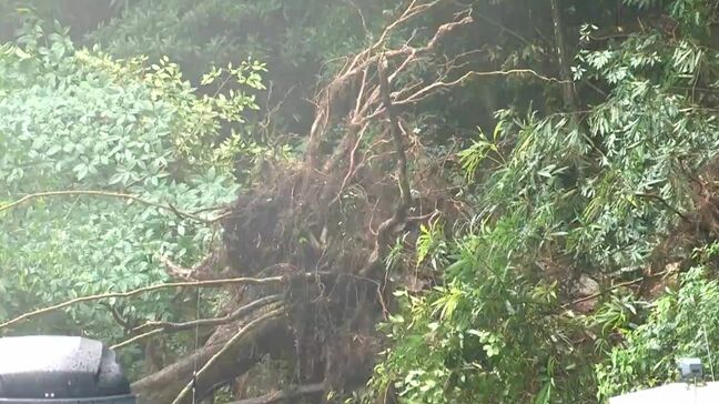 大雨の影響か 出水市の国道でのり面崩れる 一方、鹿児島市では道路が陥没|TBS NEWS DIG