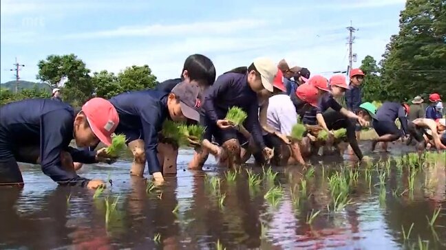 米作りの難しさや食の大切さを学ぶ 小林市の小学校で田植え体験|TBS NEWS DIG